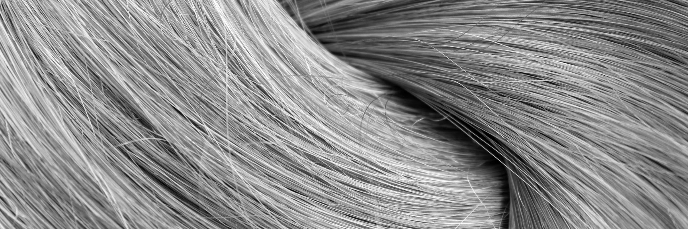 texture strand of shiny healthy curled hair 